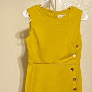 Enfocus Studio Dress